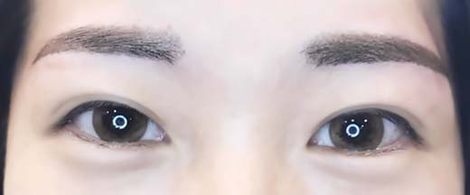 台中繡眼線