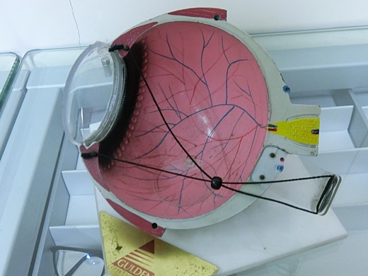 南投近視雷射價格