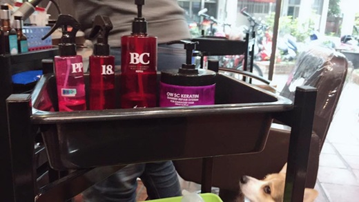 嘉義髮型設計師