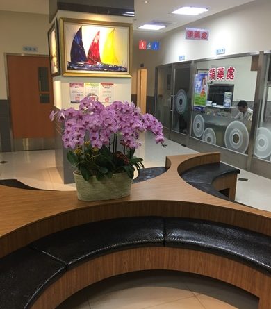 基隆近視眼科醫師