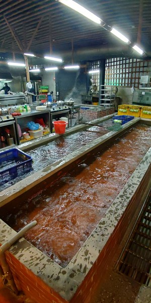 新竹現撈泰國蝦海鮮餐廳推薦